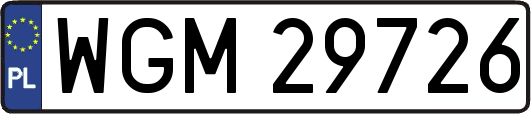 WGM29726