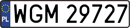 WGM29727