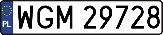 WGM29728