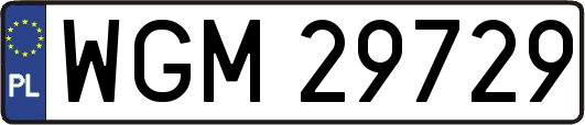 WGM29729