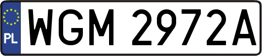 WGM2972A