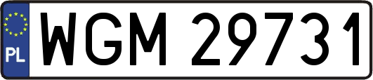 WGM29731