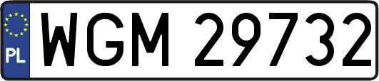 WGM29732