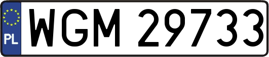WGM29733