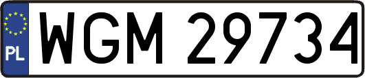 WGM29734