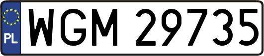 WGM29735