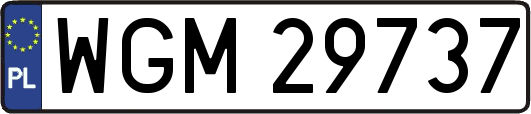 WGM29737