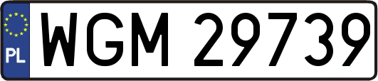 WGM29739