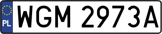 WGM2973A