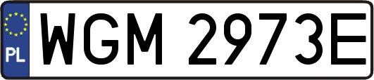 WGM2973E