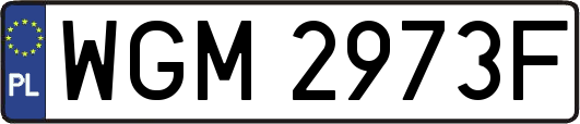 WGM2973F