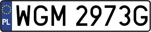 WGM2973G