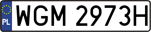 WGM2973H