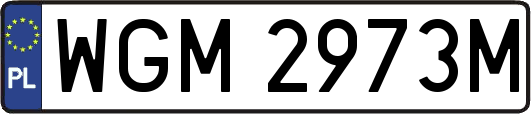 WGM2973M