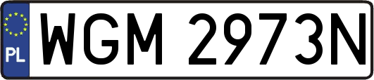 WGM2973N