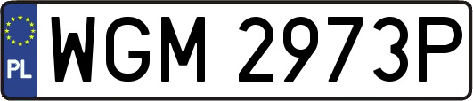 WGM2973P