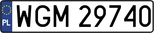 WGM29740