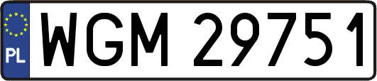WGM29751