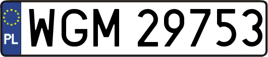 WGM29753