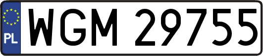 WGM29755