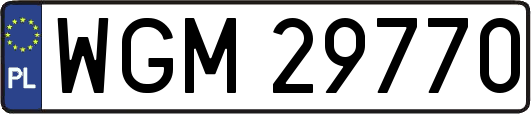 WGM29770