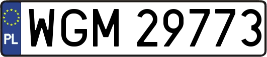 WGM29773