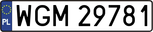 WGM29781