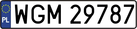 WGM29787