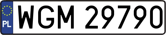 WGM29790