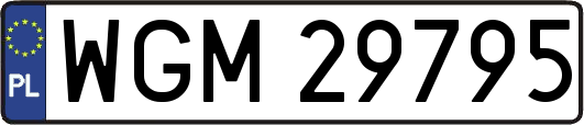 WGM29795