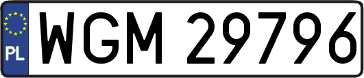 WGM29796