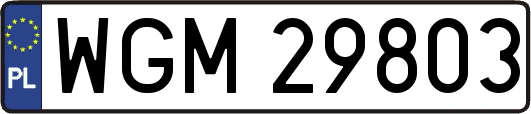 WGM29803