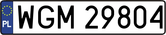 WGM29804