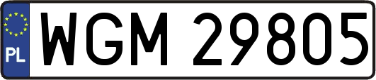 WGM29805
