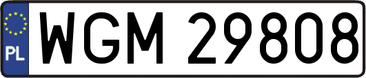 WGM29808