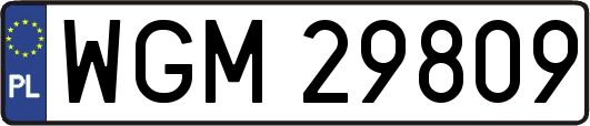 WGM29809