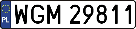 WGM29811