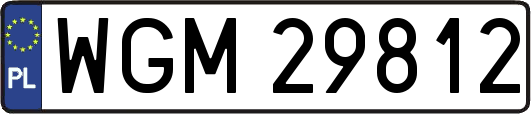 WGM29812