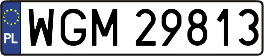 WGM29813