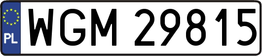 WGM29815