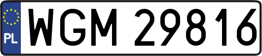 WGM29816