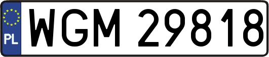 WGM29818