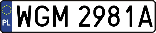 WGM2981A