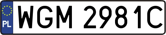 WGM2981C