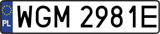 WGM2981E