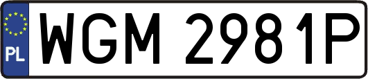 WGM2981P