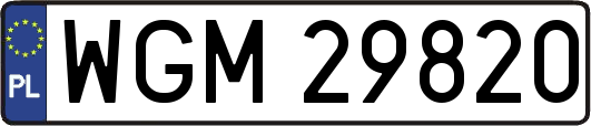 WGM29820