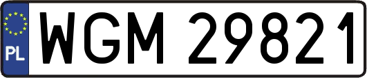 WGM29821