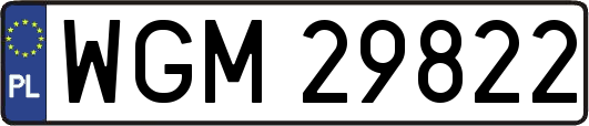 WGM29822