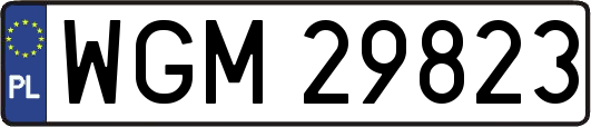 WGM29823
